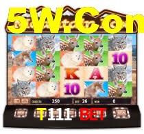 T111 Bet